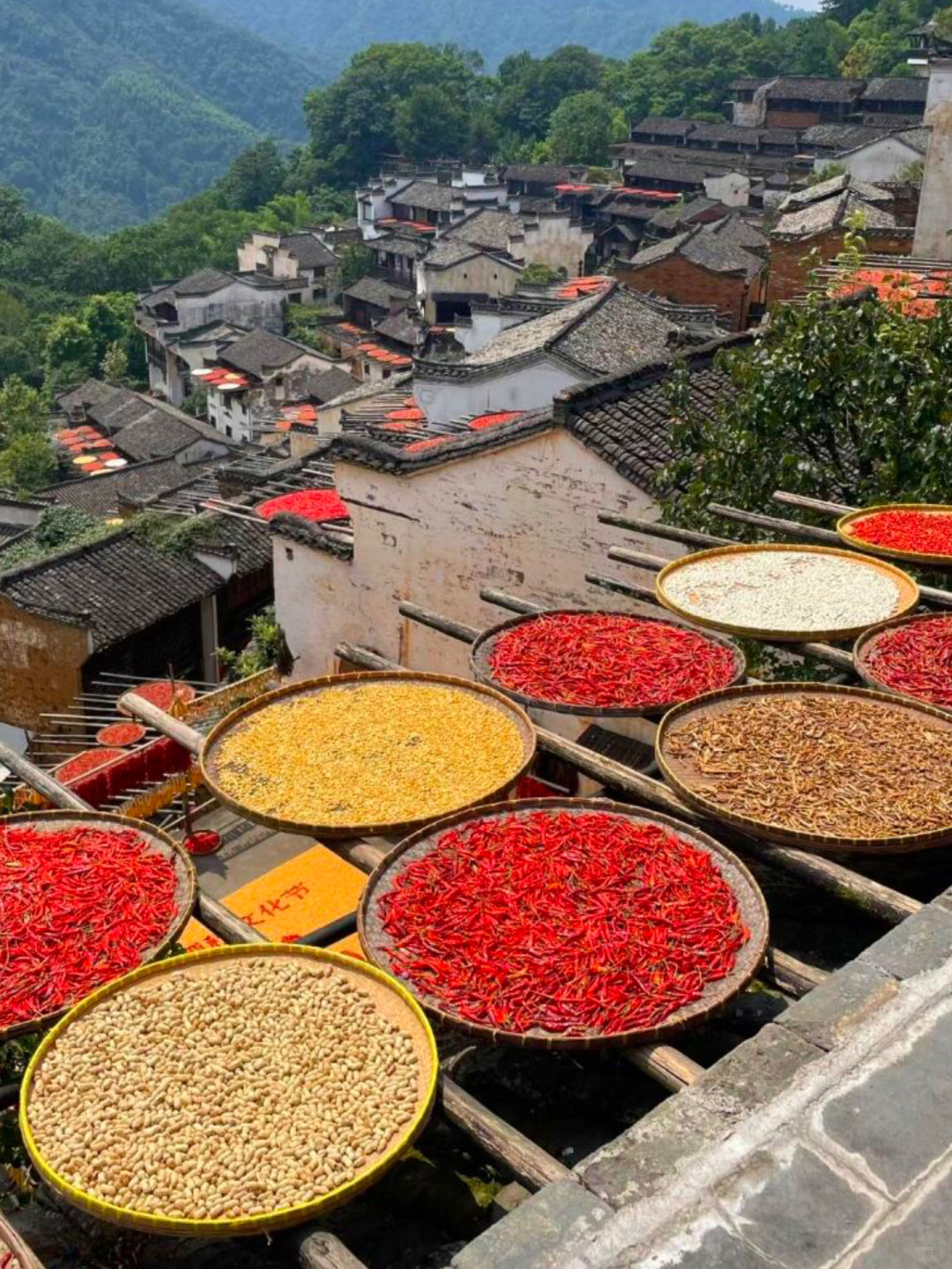 大力推荐我报的江西小团!!(不是拖!)