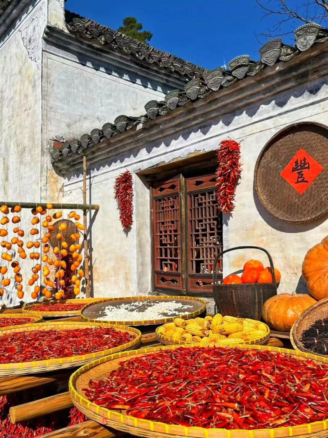 大力推荐我报的江西小团!!(不是拖!)