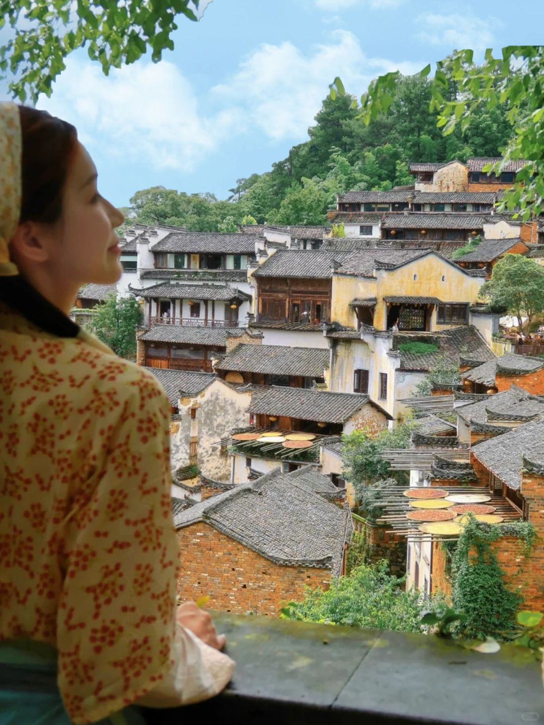 江西跟团已回，说说报团的真相！（听劝）