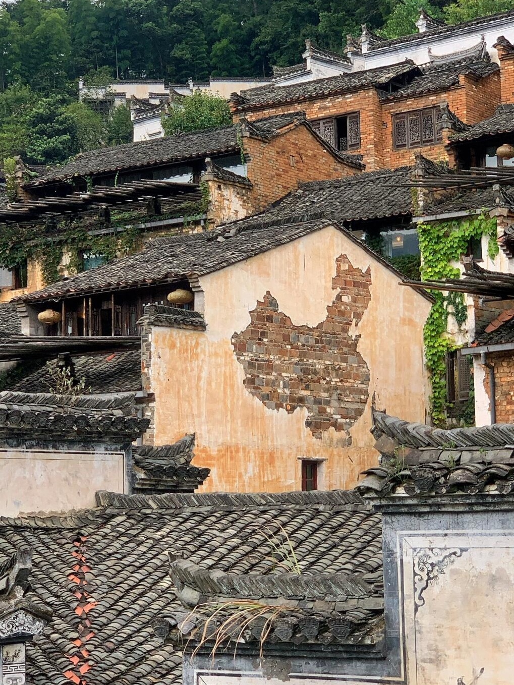 关于江西报团 我真的巨巨巨有话语权！！！