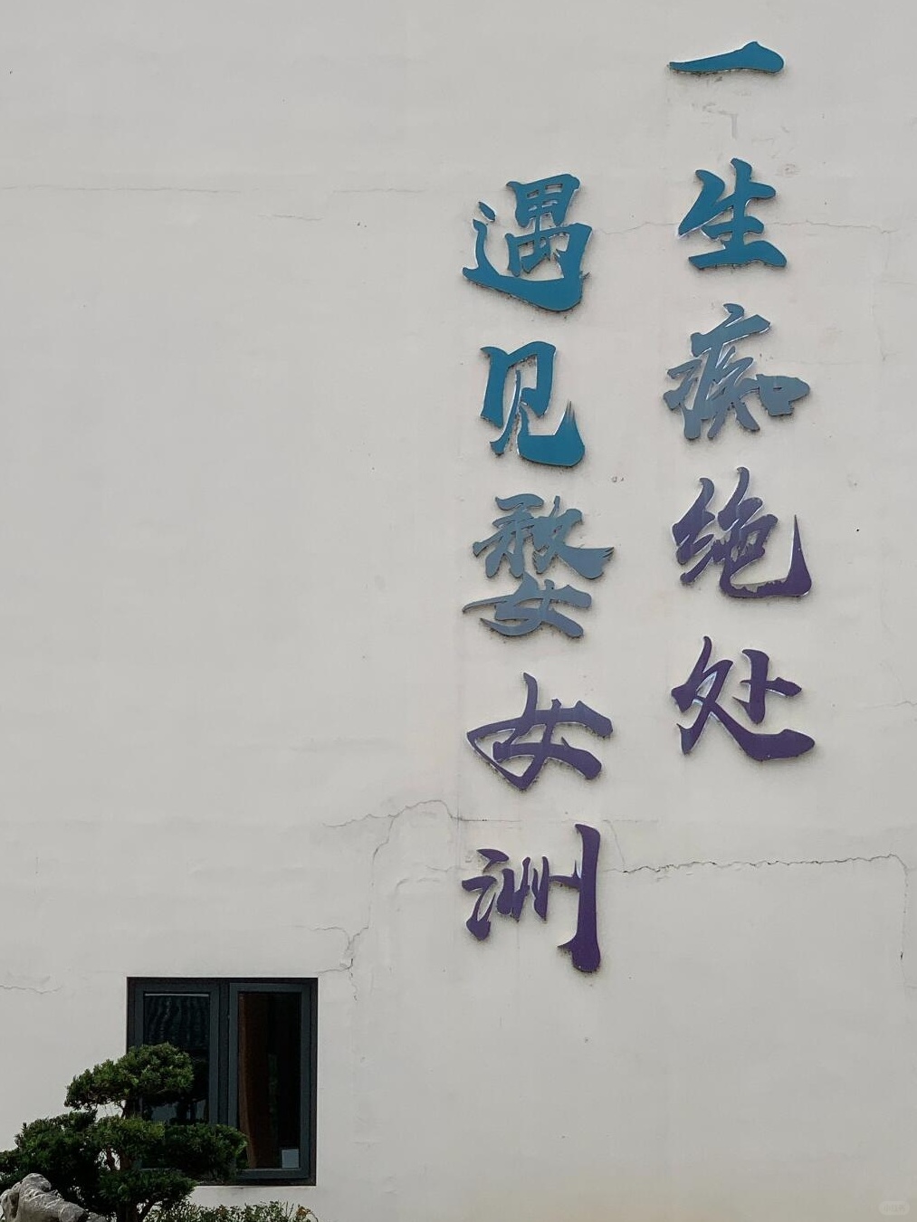 关于江西报团 我真的巨巨巨有话语权！！！