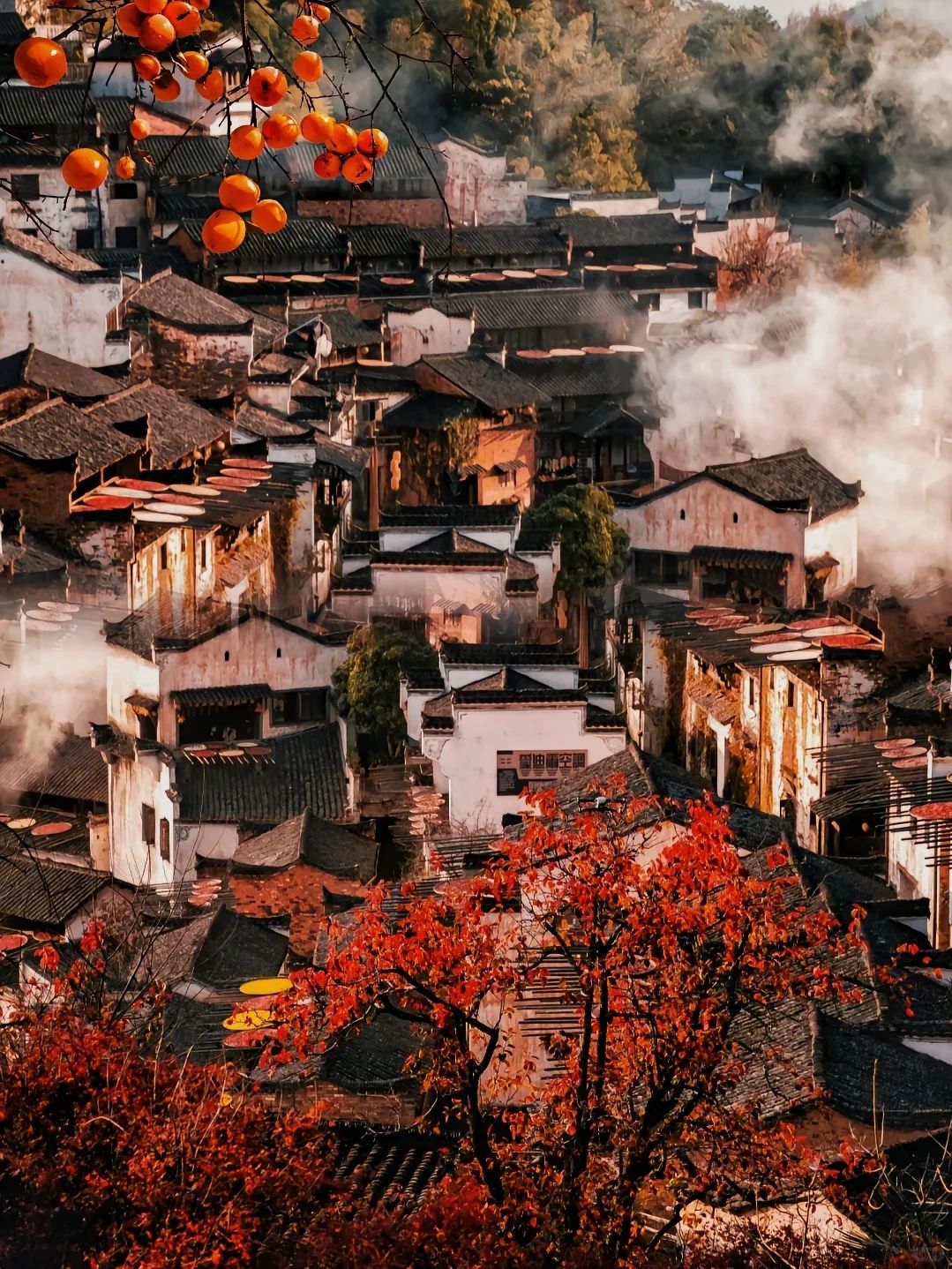 又被曝光了！婺源特种兵式两天一夜旅游攻略。