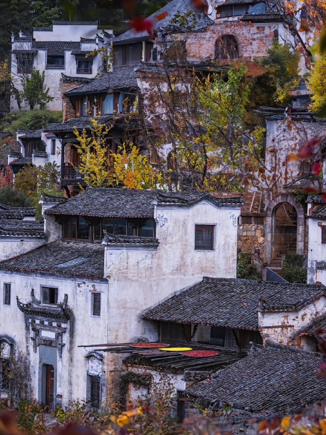 又被曝光了！婺源特种兵式两天一夜旅游攻略。