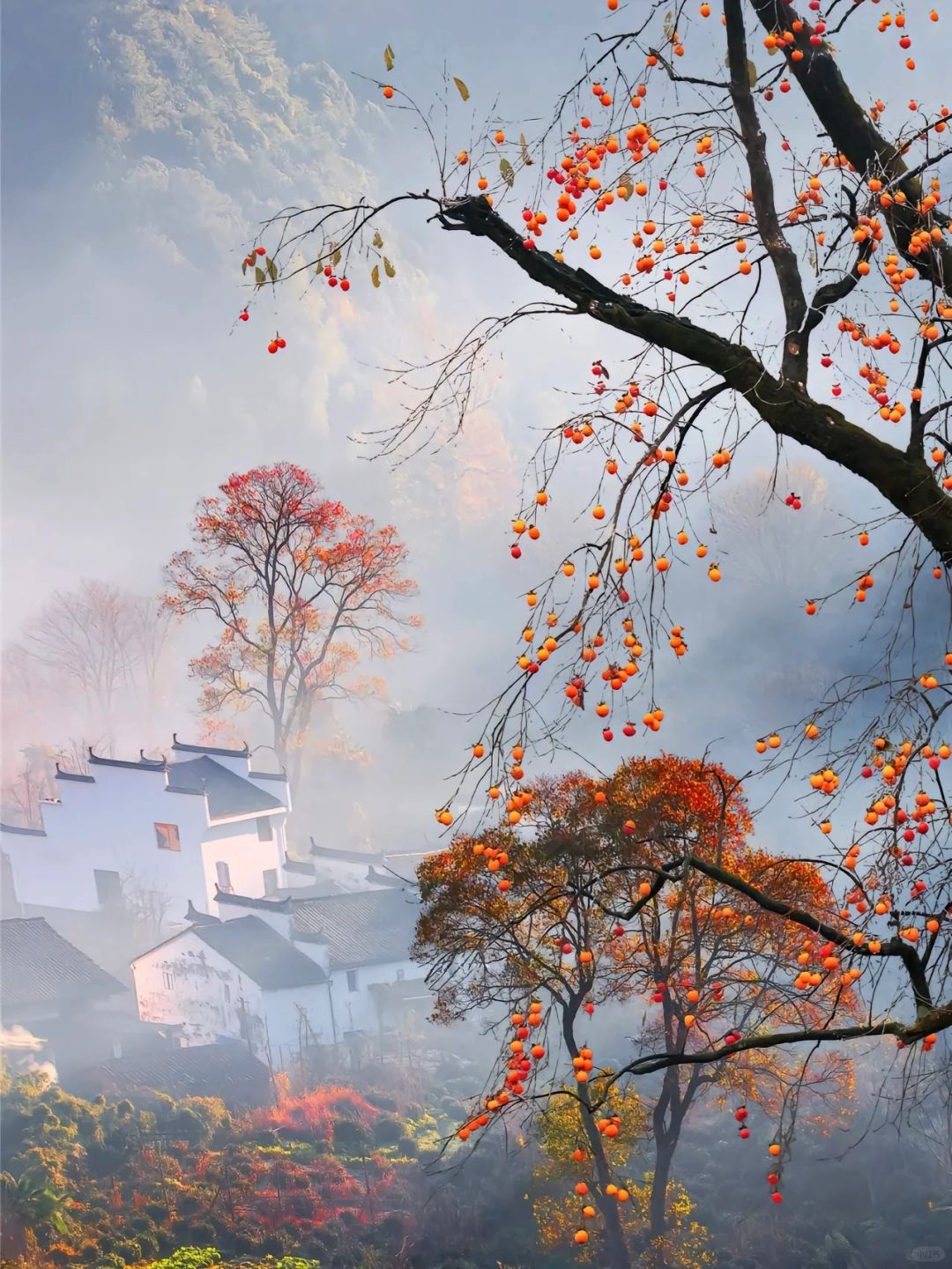 又被曝光了！婺源特种兵式两天一夜旅游攻略。