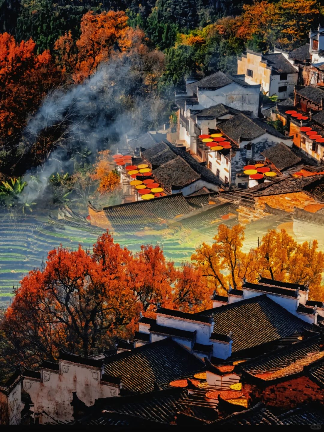 又被曝光了！婺源特种兵式两天一夜旅游攻略。