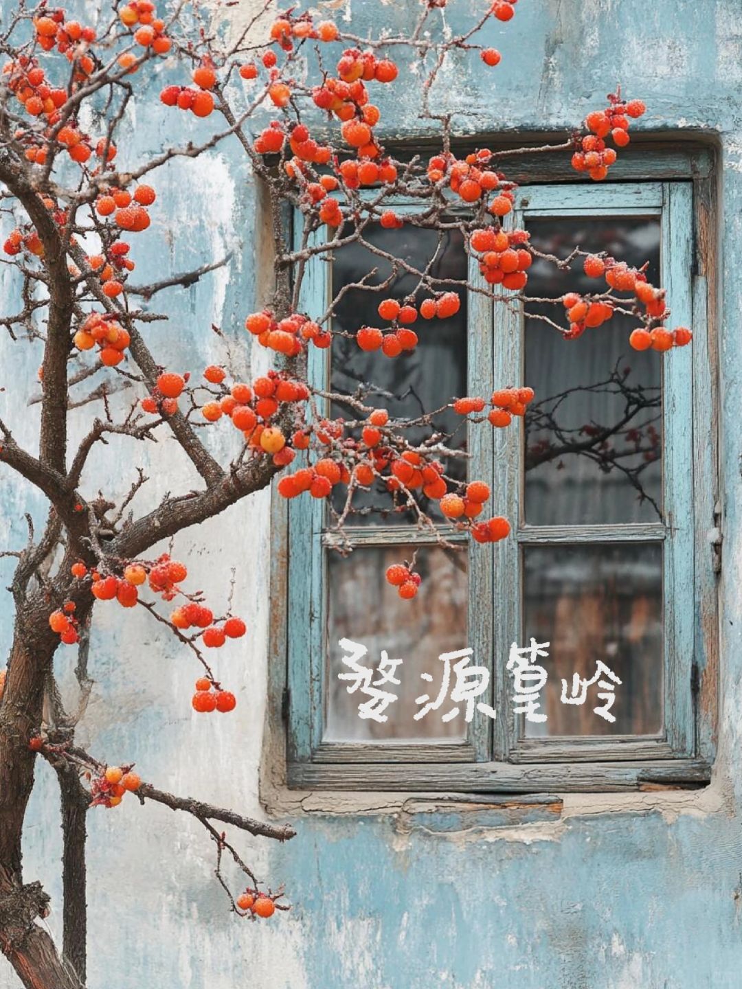 ⚠️挑战全网,3天2晚 上饶特种兵旅游!