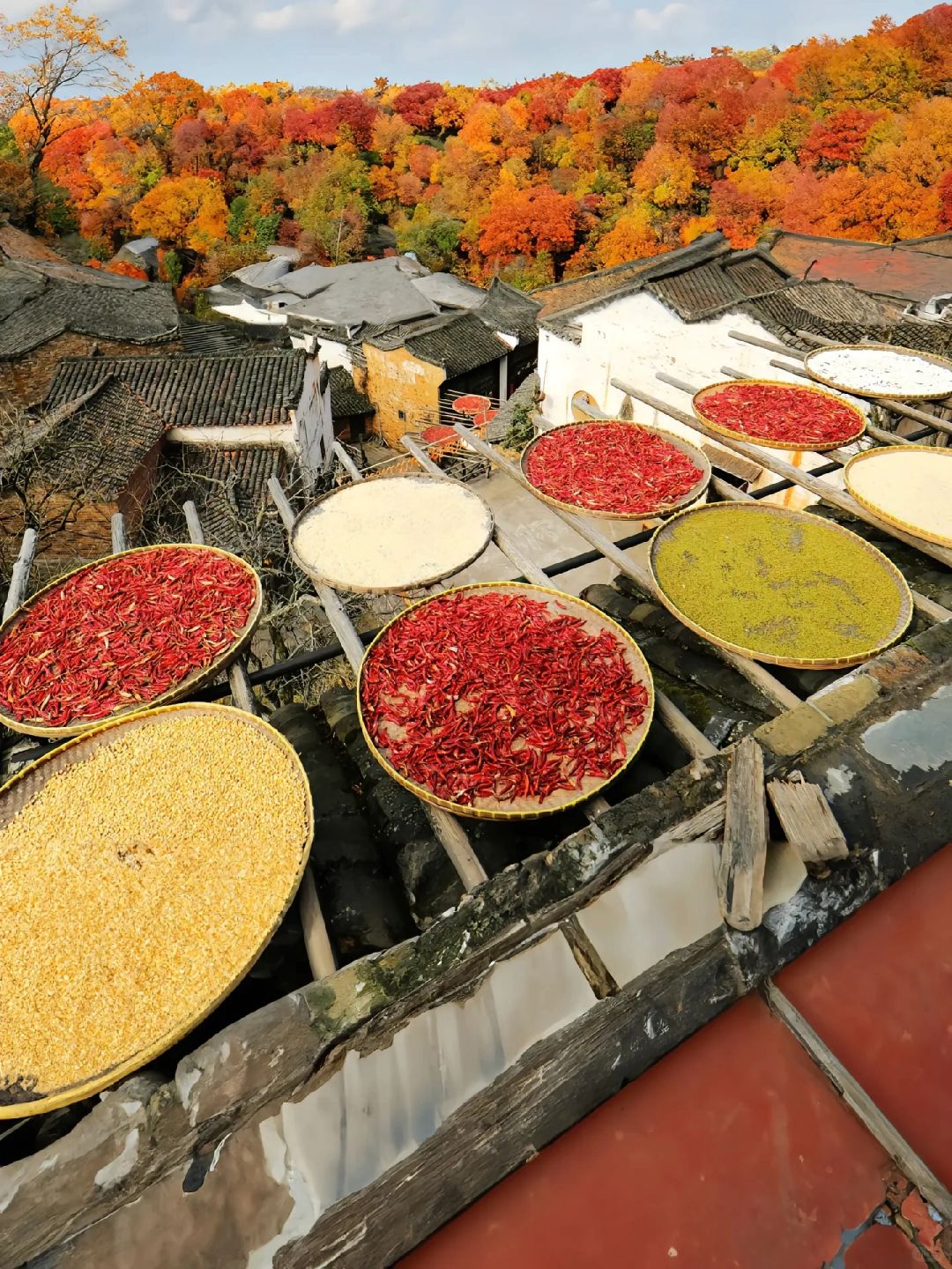 又被曝光了！婺源特种兵式两天一夜旅游攻略。