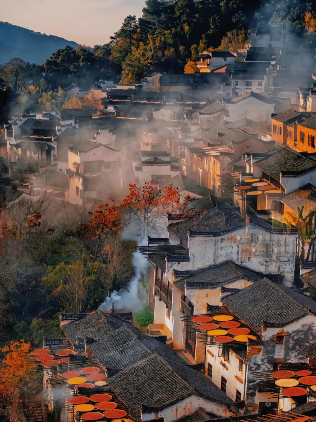 又被曝光了！婺源特种兵式两天一夜旅游攻略。