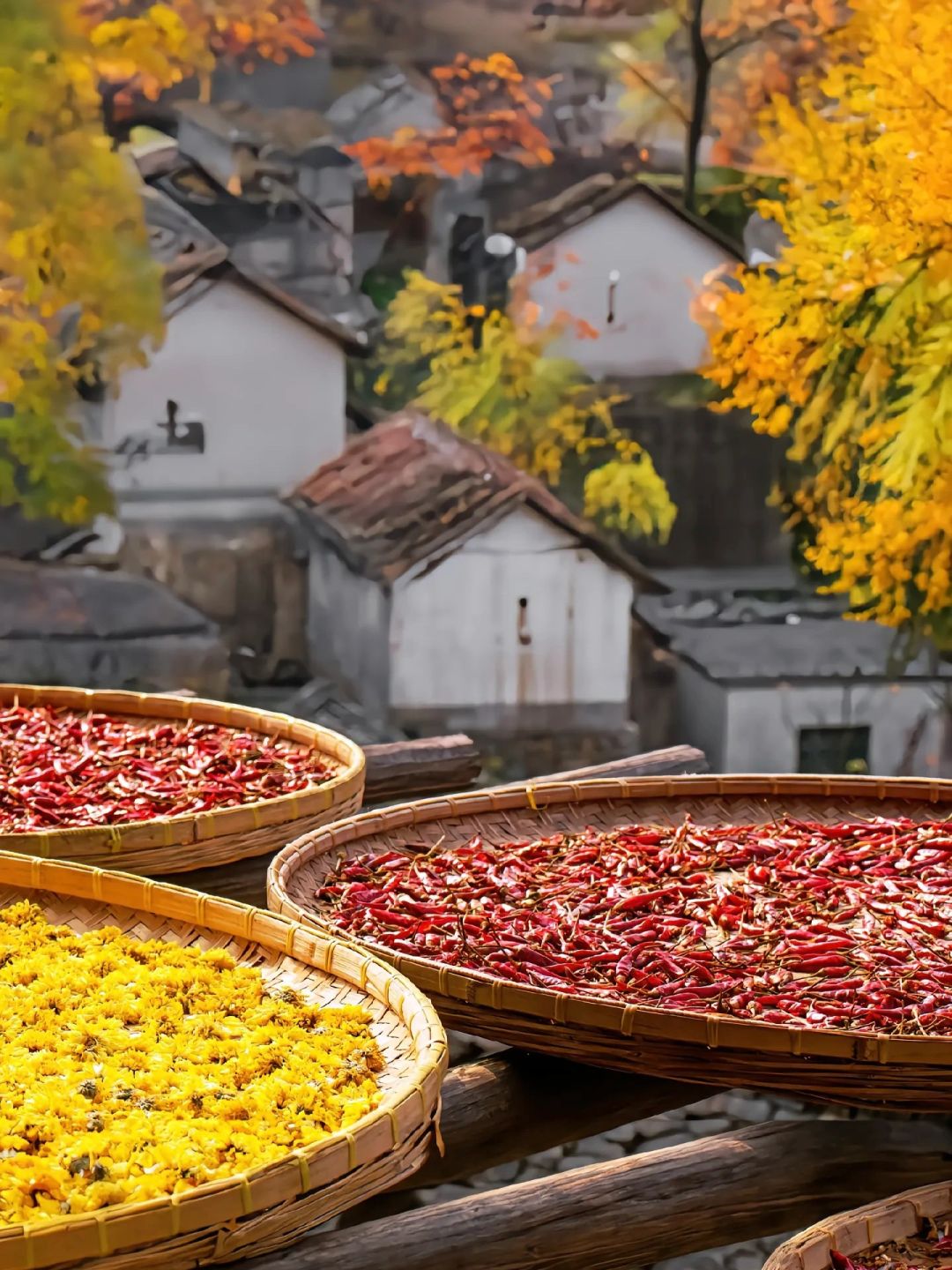 又被曝光了！婺源特种兵式两天一夜旅游攻略。