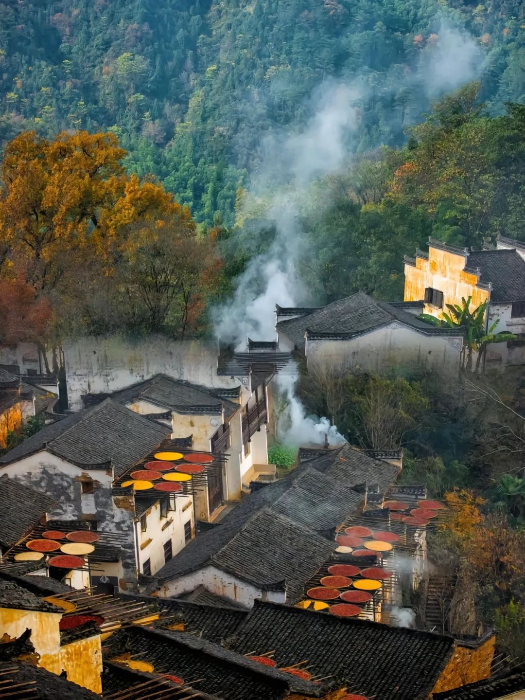 又被曝光了！婺源特种兵式两天一夜旅游攻略。