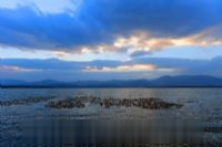 沱湖湿地风景区