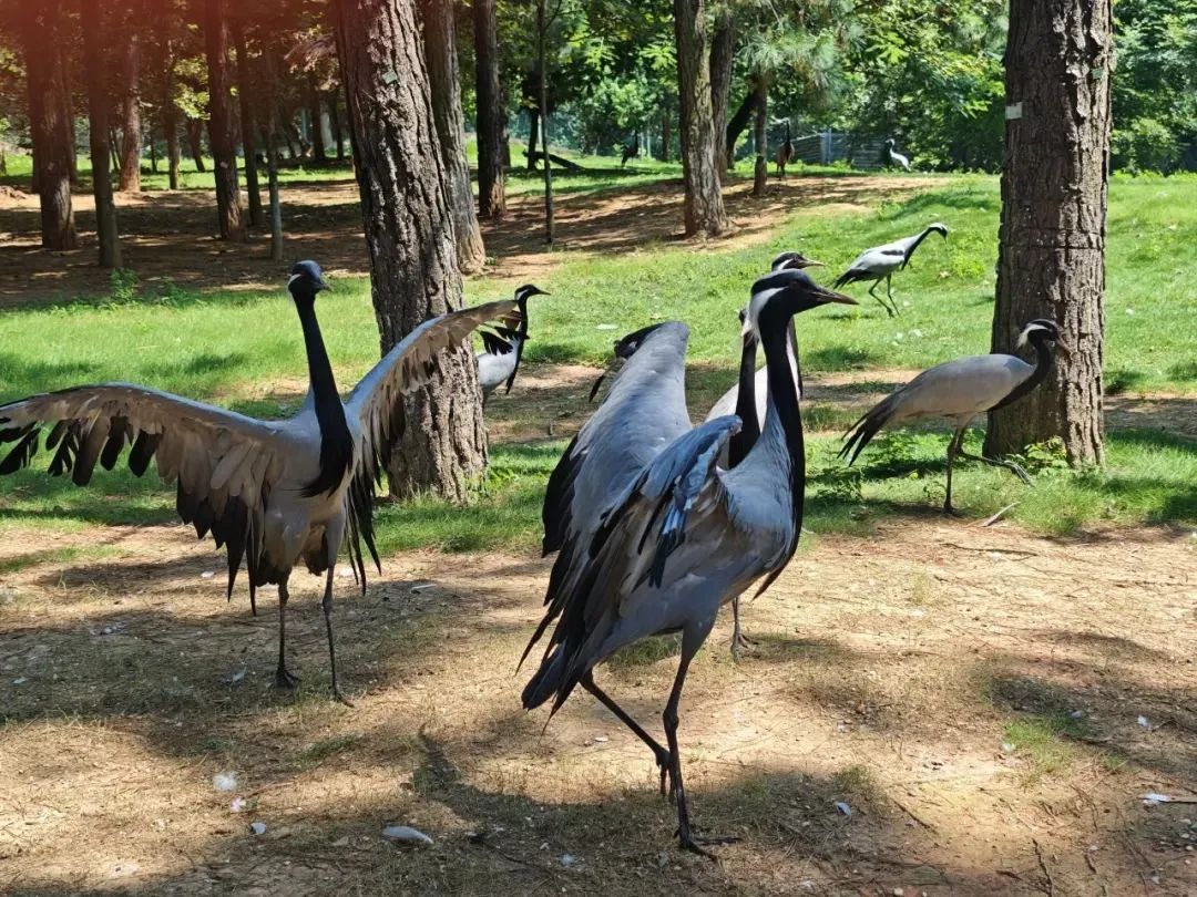 undefined 640 (2).jpg