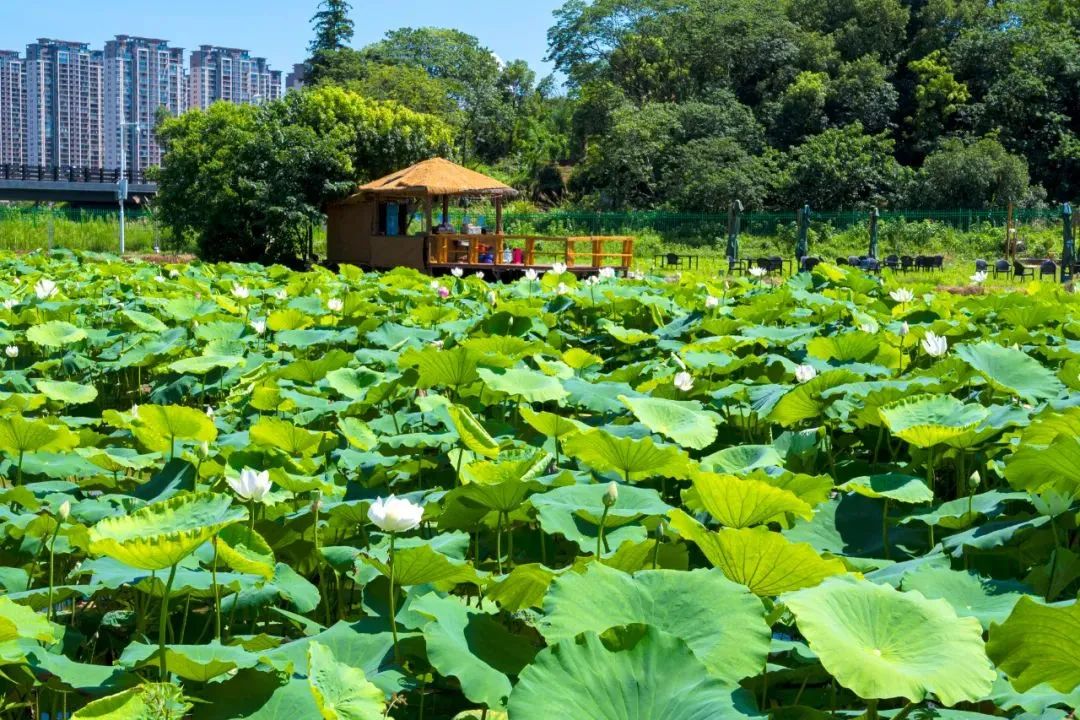 undefined 640 (8).jpg