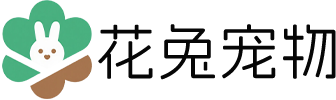 花兔宠物网
